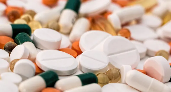 Is Paracetamol Safe for Dogs? A Vet's Honest Answer